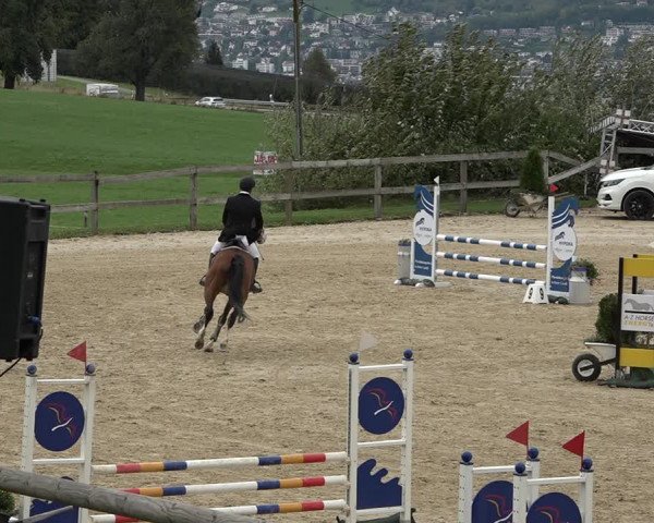 Reitturnier Wädenswil 2020