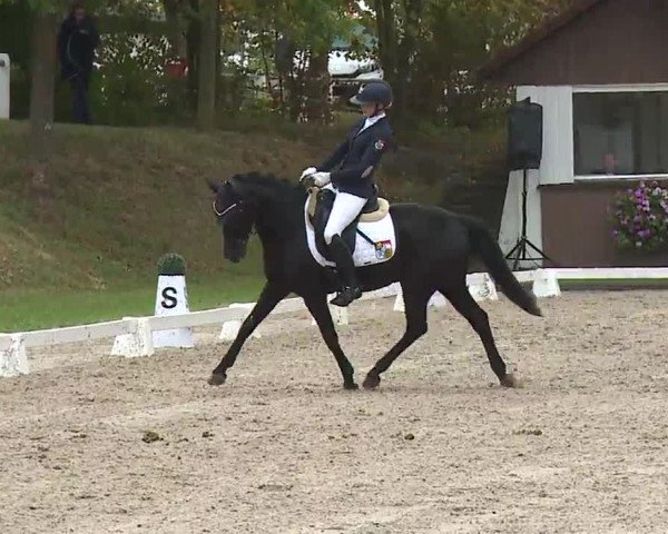 Reitturnier Remlingen/Ufr. 2020