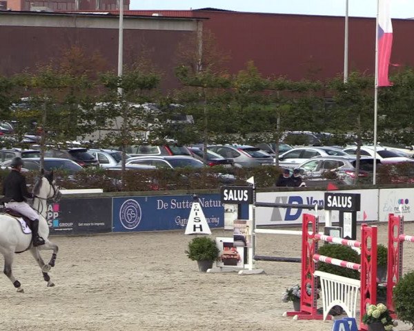 FEI Reitturnier Lier (BEL) 2020