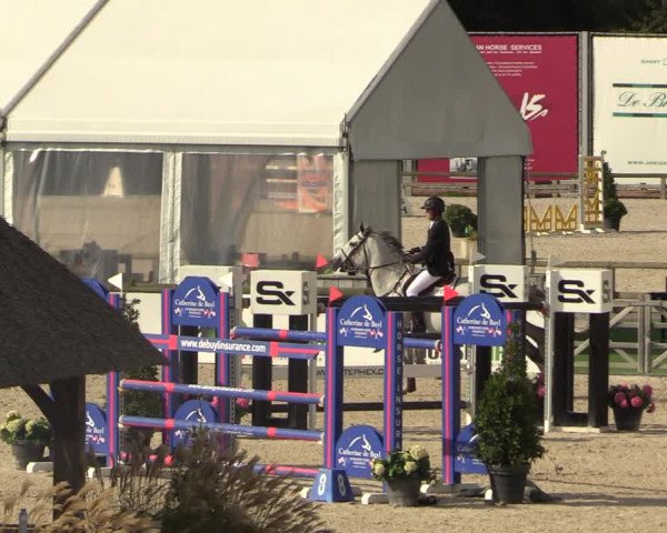 FEI Reitturnier Lier (BEL) 2020