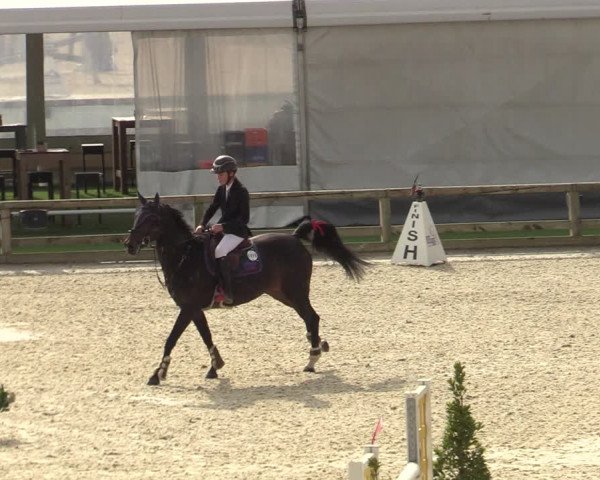 FEI Reitturnier Lier (BEL) 2020