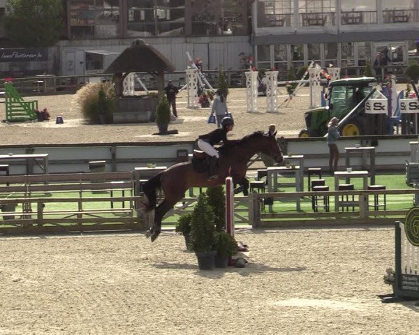 FEI Reitturnier Lier (BEL) 2020