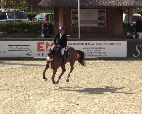 FEI Reitturnier Lier (BEL) 2020