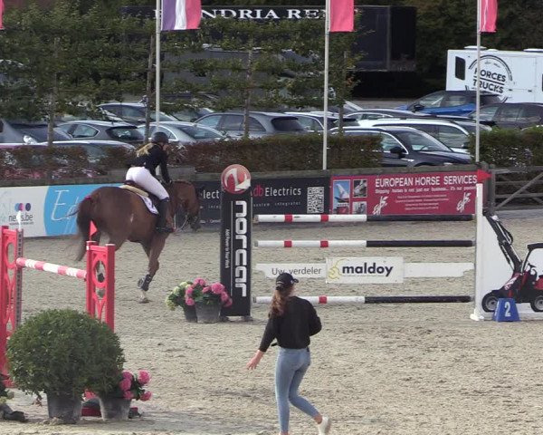 FEI Reitturnier Lier (BEL) 2020