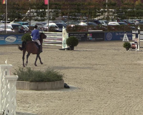 FEI Reitturnier Lier (BEL) 2020
