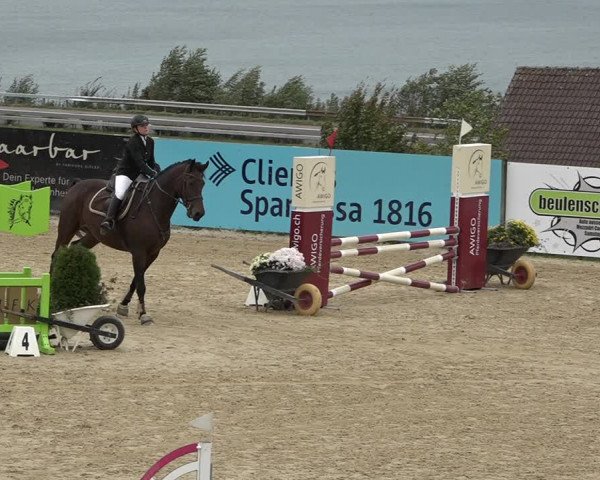 Reitturnier Wädenswil 2020