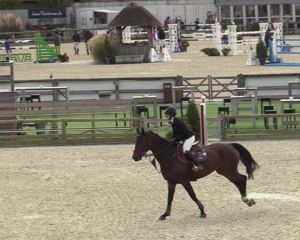 FEI Reitturnier Lier (BEL) 2020