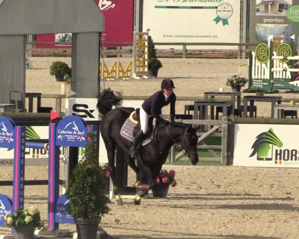 FEI Reitturnier Lier (BEL) 2020