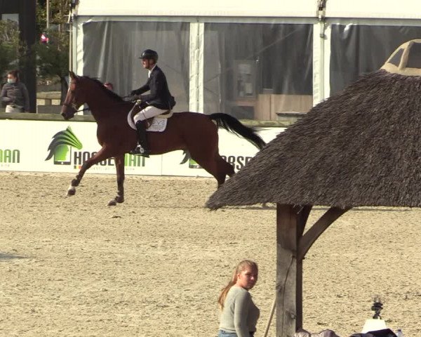 FEI Reitturnier Lier (BEL) 2020