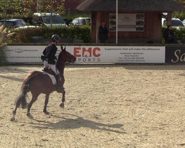 FEI Reitturnier Lier (BEL) 2020