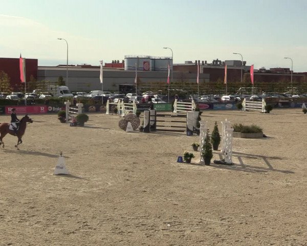 FEI Reitturnier Lier (BEL) 2020