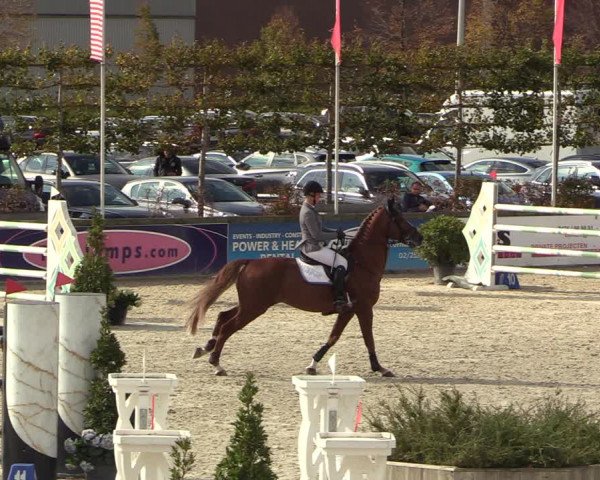 FEI Reitturnier Lier (BEL) 2020