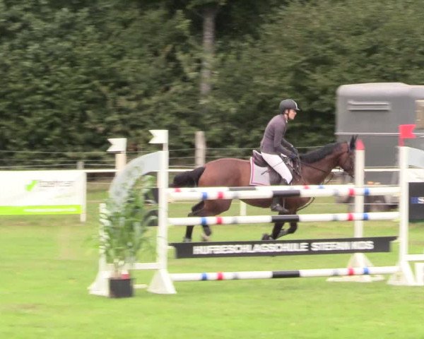 Reitturnier Kellinghusen 2020