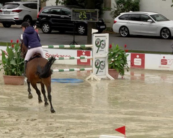 Reitturnier Schutterwald 2020