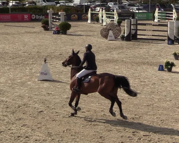 FEI Reitturnier Lier (BEL) 2020