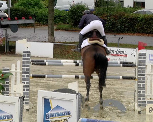 Reitturnier Schutterwald 2020