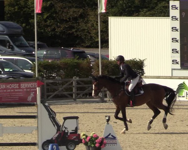 FEI Reitturnier Lier (BEL) 2020