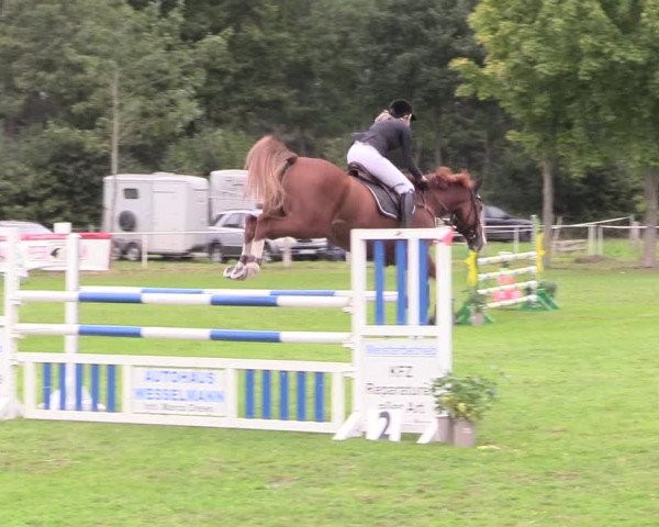 Reitturnier Kellinghusen 2020
