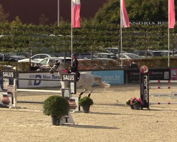 FEI Reitturnier Lier (BEL) 2020