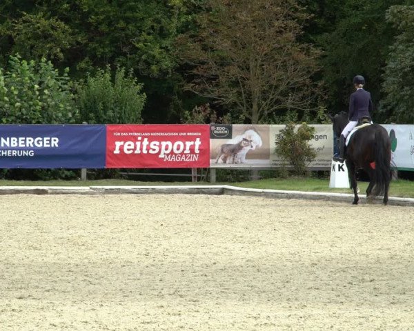 Reitturnier Hof Bettenrode 2020