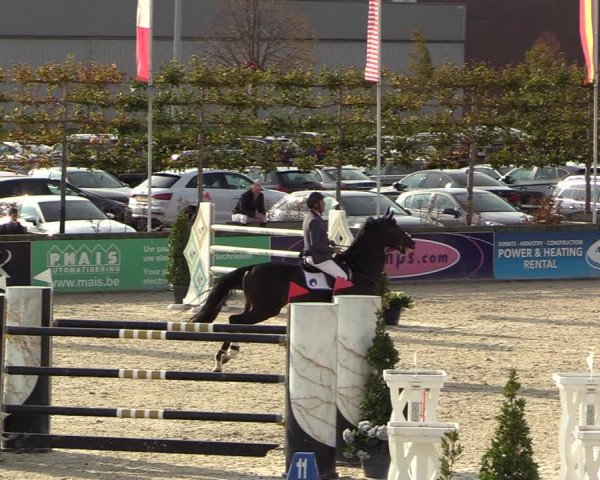 FEI Reitturnier Lier (BEL) 2020