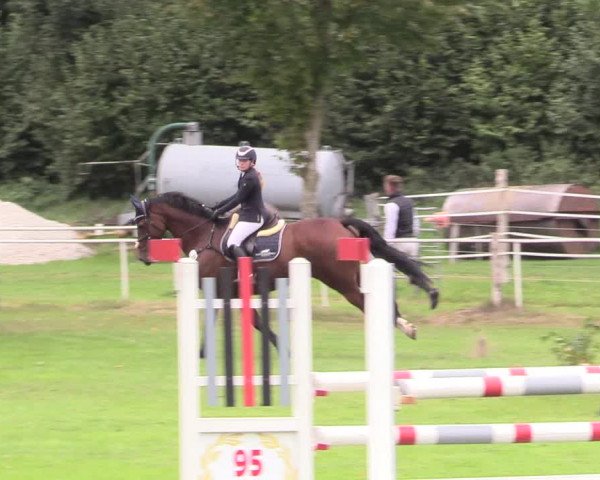 Reitturnier Kellinghusen 2020