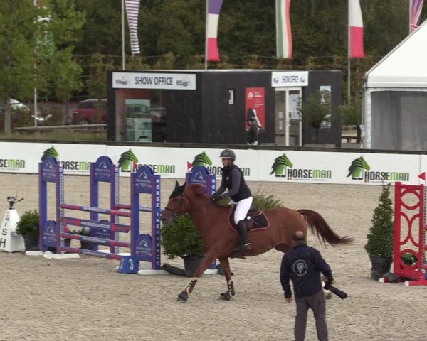 FEI Reitturnier Lier (BEL) 2020