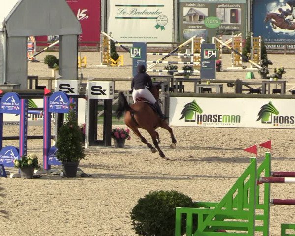 FEI Reitturnier Lier (BEL) 2020