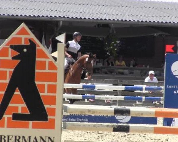 dressage horse Lisara (Westphalian, 2008, from Lissabon 29) dressage horse Lisara (Westphalian, 2008, from Lissabon 29)
