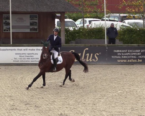 FEI Reitturnier Lier (BEL) 2020