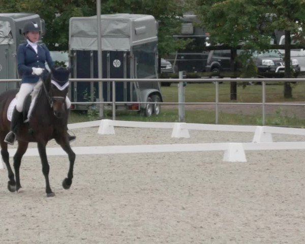 Reitturnier Achern 2020