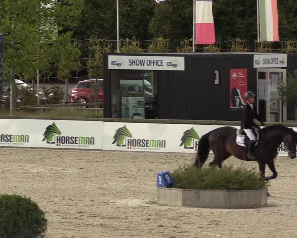 FEI Reitturnier Lier (BEL) 2020