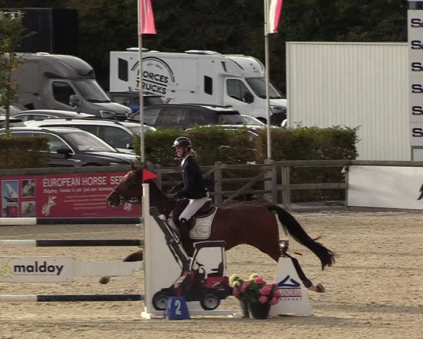 FEI Reitturnier Lier (BEL) 2020