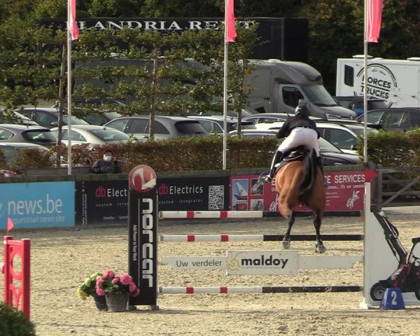 FEI Reitturnier Lier (BEL) 2020