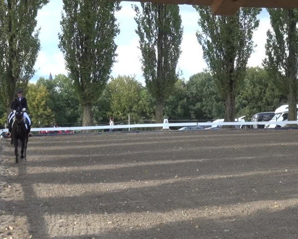 Reitturnier Leverkusen - Teitscheider Hof 2020
