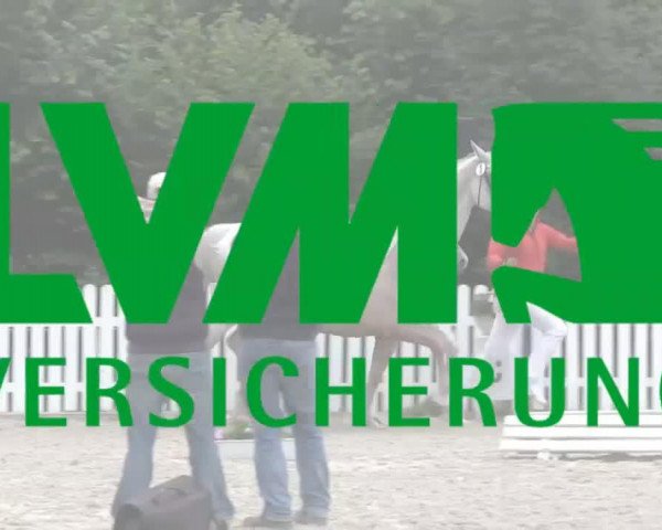 Zuchtstute Tiara (Westfale, 2011, von Top Gun I)