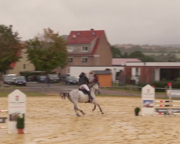 Reitturnier Dingelstädt 2020