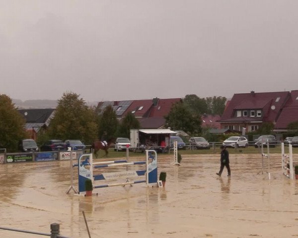 Reitturnier Dingelstädt 2020