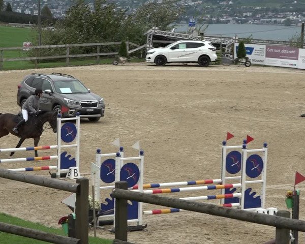 Reitturnier Wädenswil 2020
