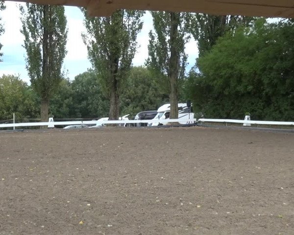 Reitturnier Leverkusen - Teitscheider Hof 2020