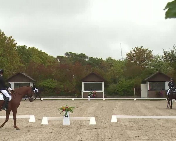 Reitturnier Remlingen/Ufr. 2020