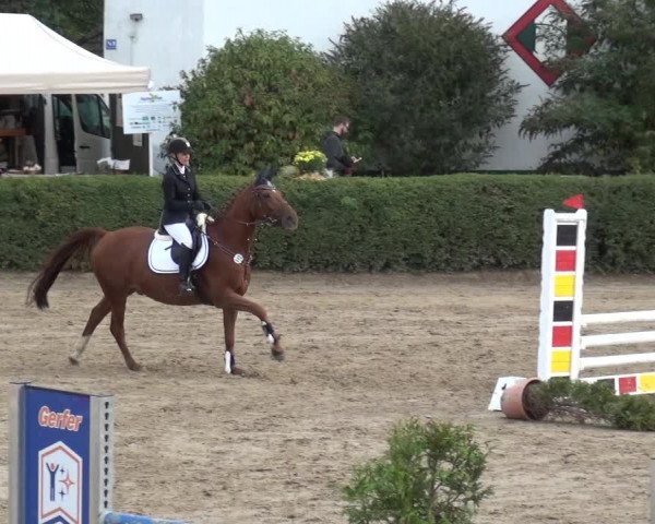 Reitturnier Leverkusen - Teitscheider Hof 2020