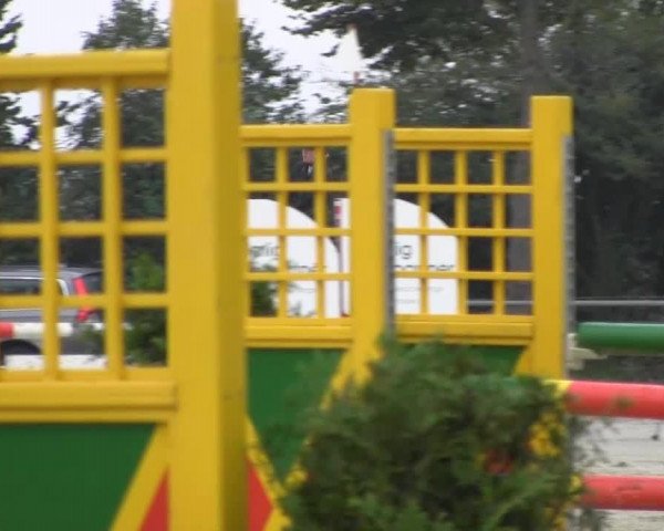broodmare Lesara (Westphalian, 2008, from Lissabon 29)