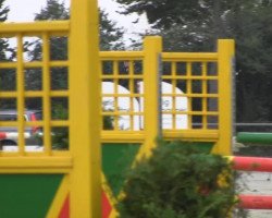 Zuchtstute Lesara (Westfale, 2008, von Lissabon 29)