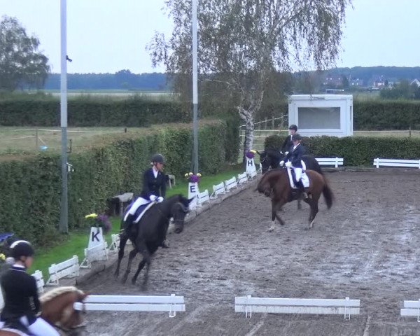 Reitturnier Übach-Palenberg - Scherpenseel 2020