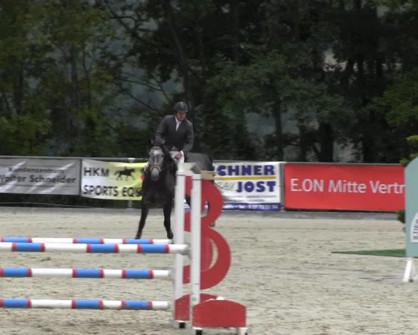 Springpferd Leocadia 2 (Deutsches Reitpferd, 2009, von Larengos)