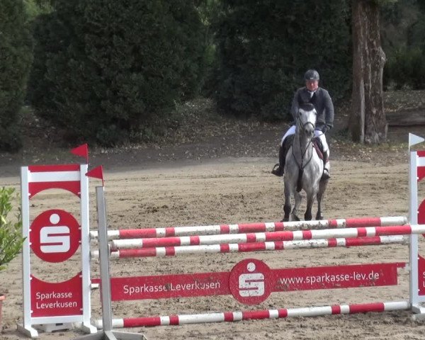 Reitturnier Leverkusen - Teitscheider Hof 2020