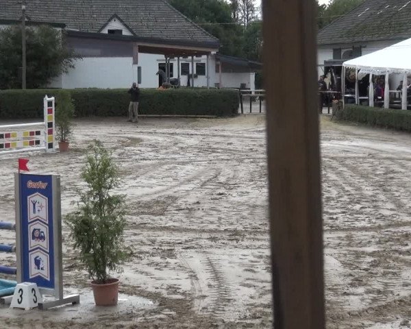Reitturnier Leverkusen - Teitscheider Hof 2020