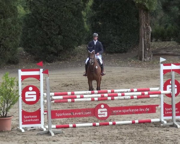 Reitturnier Leverkusen - Teitscheider Hof 2020