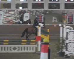 jumper La Comtesse 9 (Oldenburg, 2009, from Lapis Lazuli)